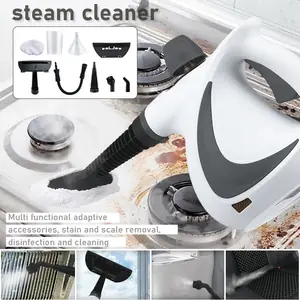 تزيل البقع، والتطهير، وإزالة العث، والقضاء على الروائح. آلة تنظيف البخار المنزلية ذات درجة الحرارة العالية والضغط العالي